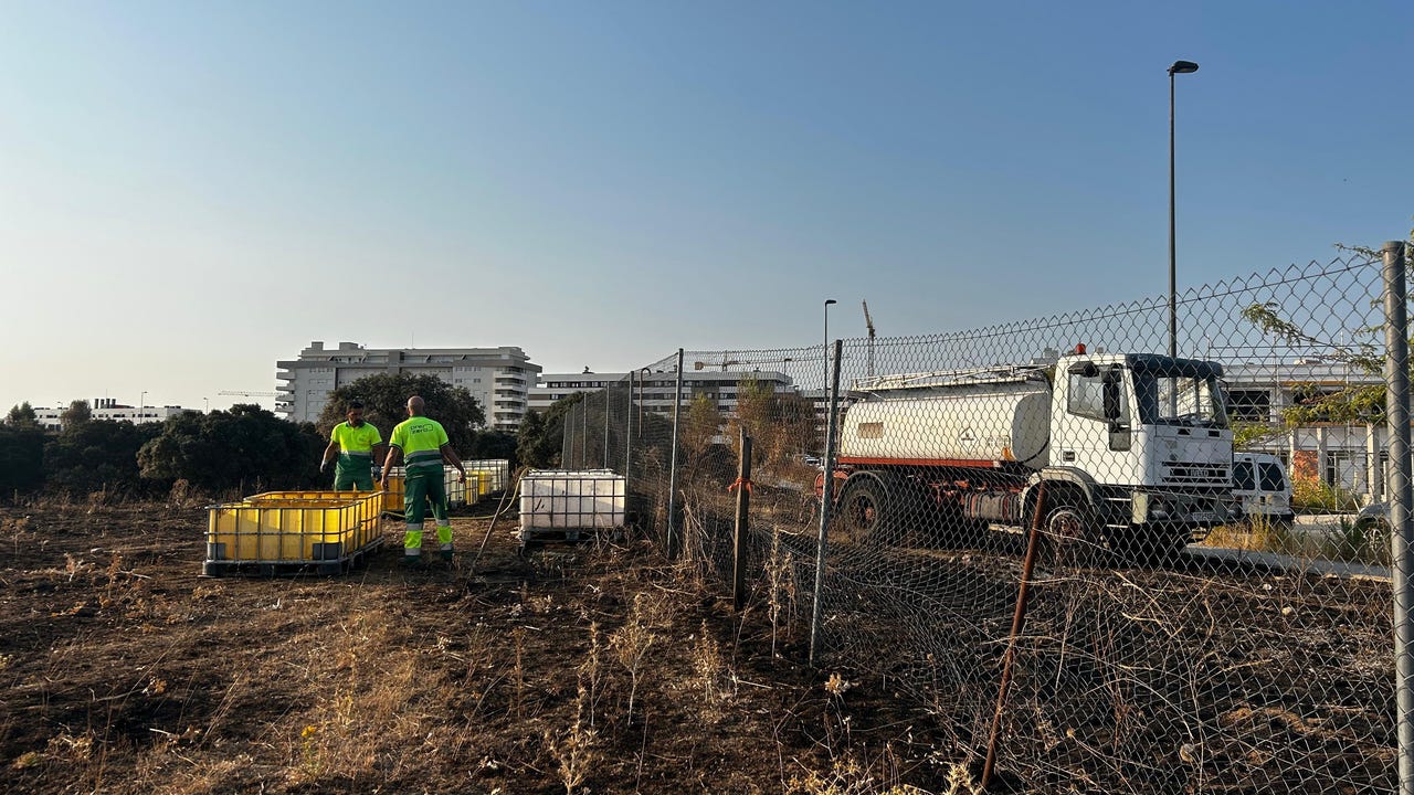 Así se recupera Tres Cantos del incendio que arrasó más de 600 hectáreas