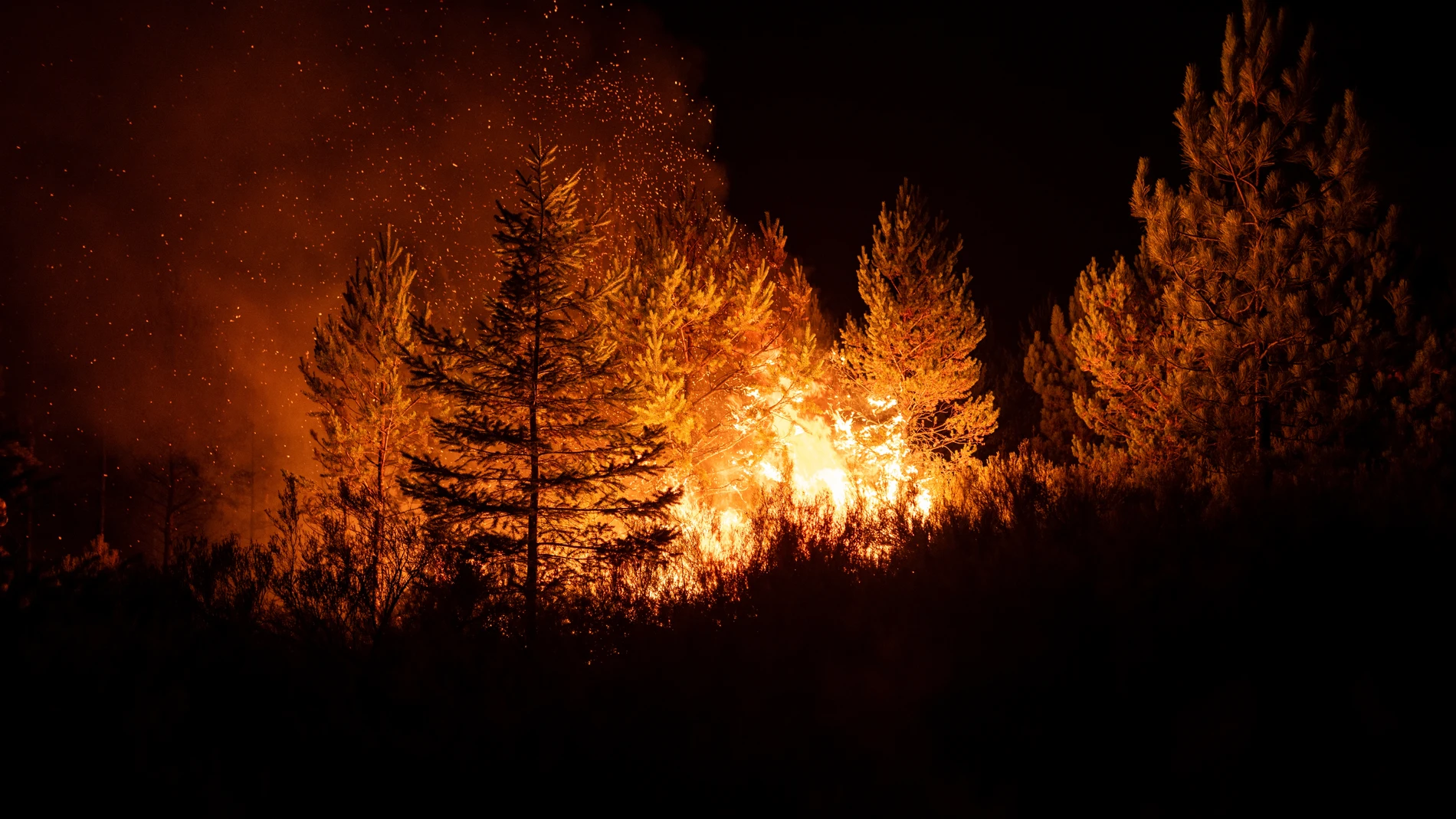 Vista del fuego, a 22 de agosto de 2025, en Argayo, León, Castilla y León (España). Ayudados por la caída de las temperaturas y una climatología más benigna que la de los últimos días, los servicios de extinción de incendios, tanto regionales como los llegados desde otras comunidades y de otros países de la UE, están logrando ganar terreno a los fuegos que asolan Castilla y León desde hace semanas, donde ya han sido pasto de las llamas cerca de 149.426 hectáreas, el 41 por ciento de las afect...