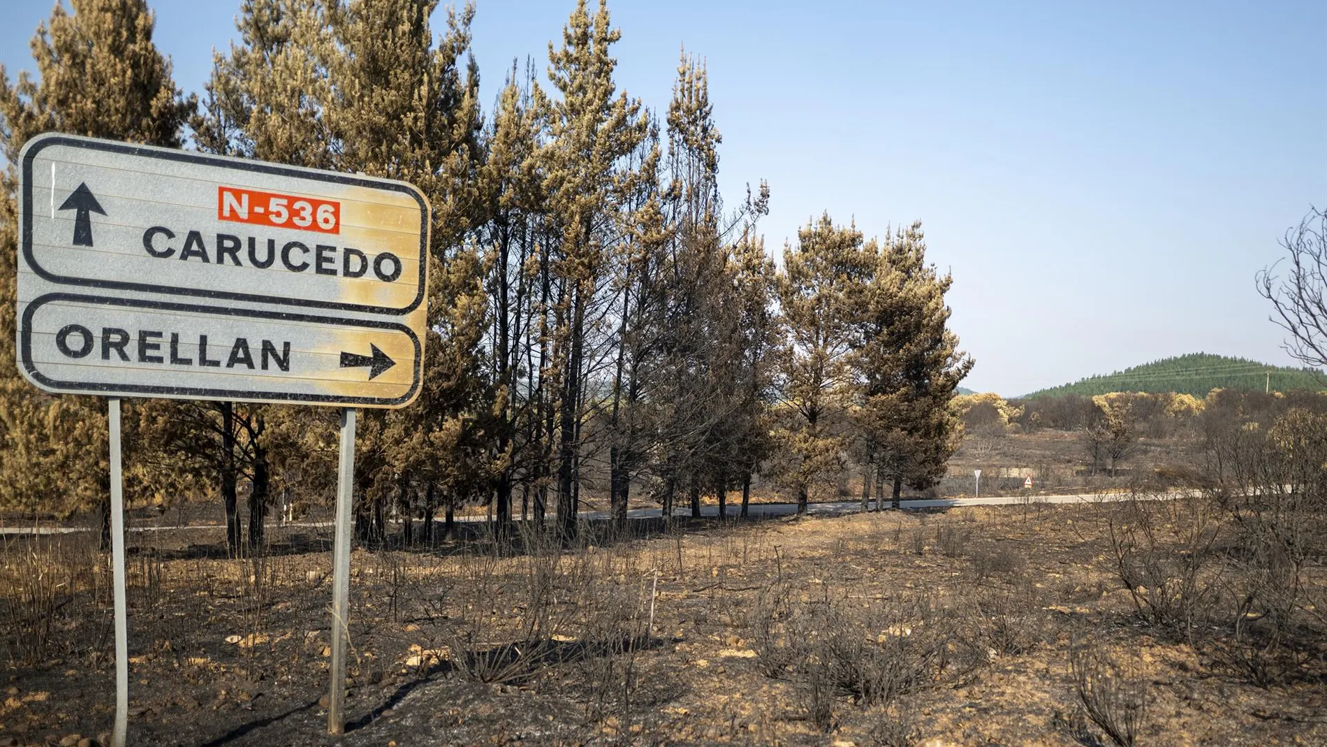 Suelo quemado en la provincia leonesa