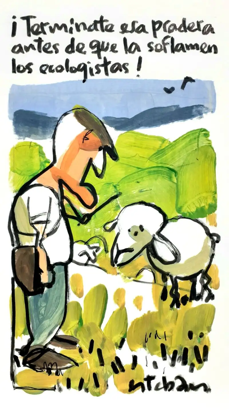 La viñeta de Esteban