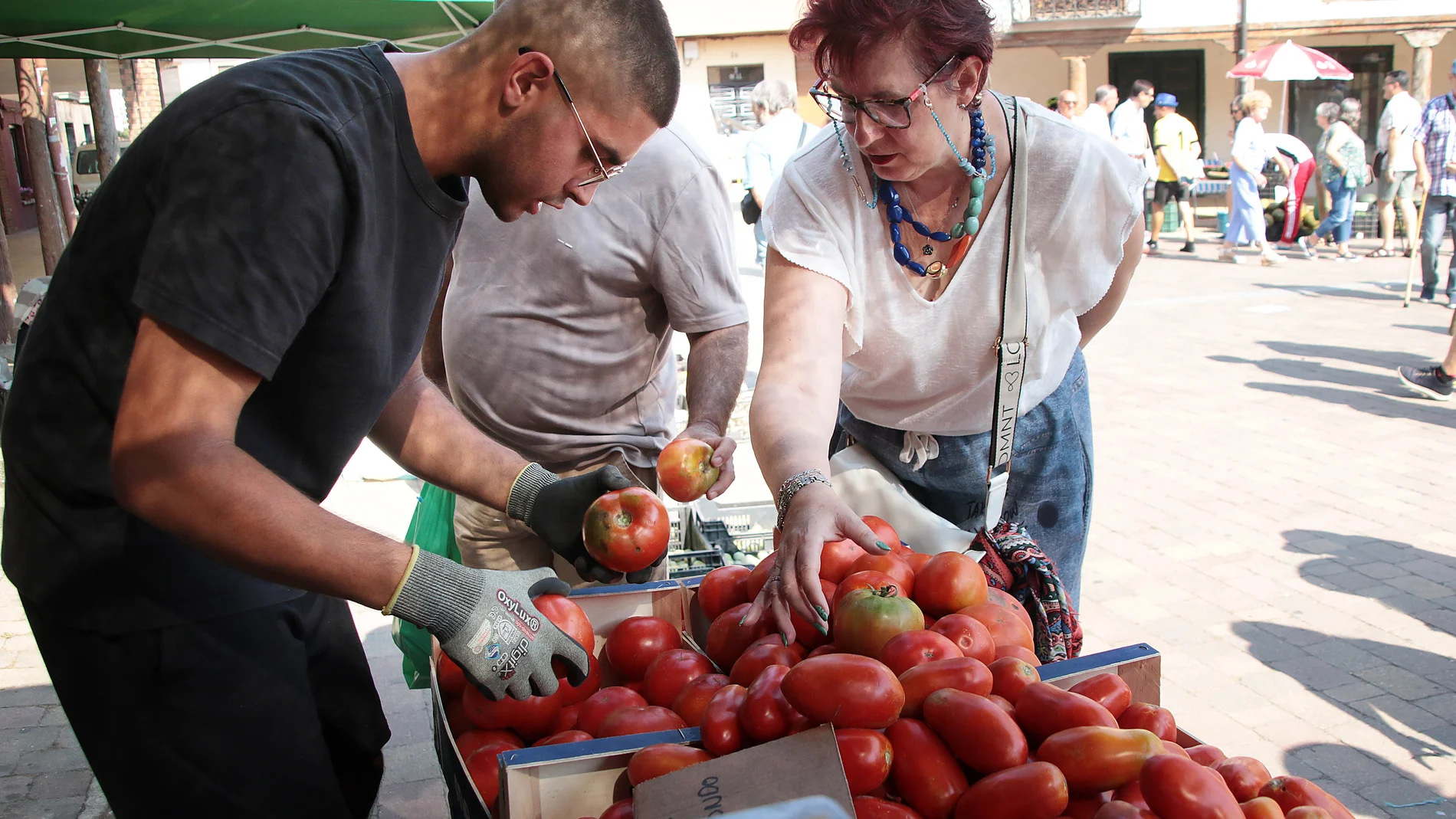 Feria del Tomate en Mansilla de las Mulas (León)