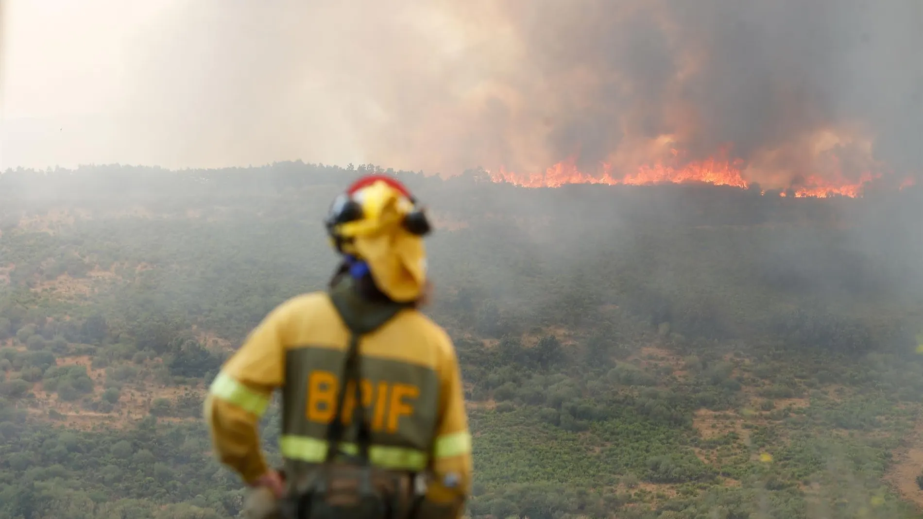 El operativo antiincendios en Castilla y León