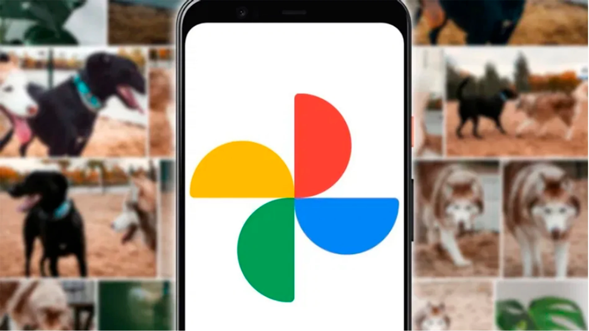 Desliza para salvar o eliminar tus fotos