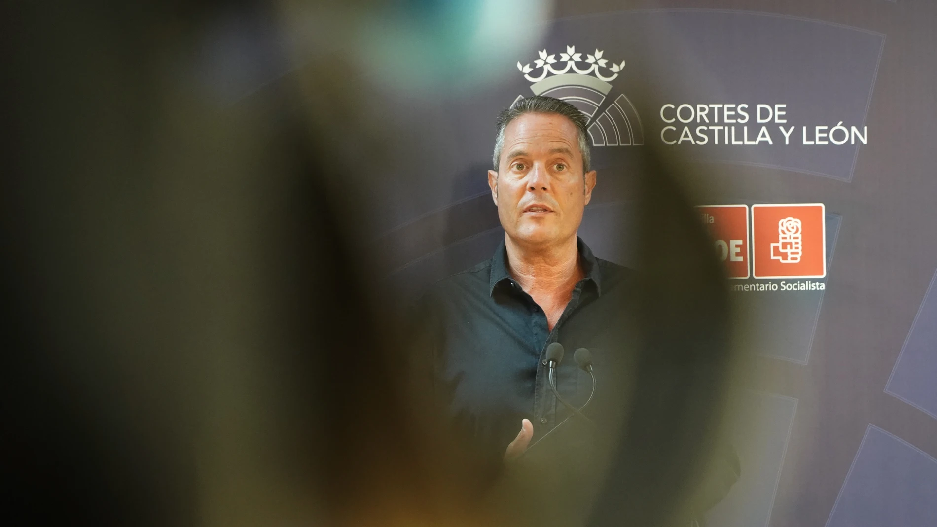 El secretario general del Grupo Parlamentario Socialista, Pedro González