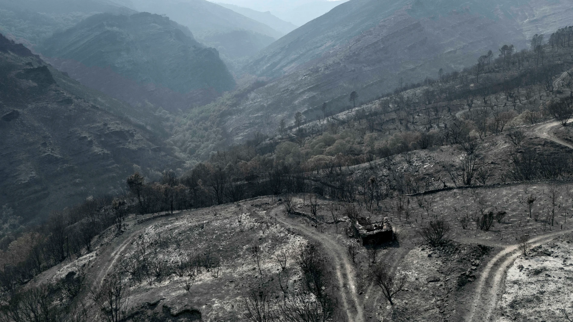 FOTODELDÍA VILAMARTÍN DE VALDEORRAS (OURENSE), 24/08/2025.- Superficie calcinada por el peor incendio de la historia de Galicia, el de Larouco (Ourense), estabilizado tras arrasar 30.000 hectáreas. EFE/Brais Lorenzo
