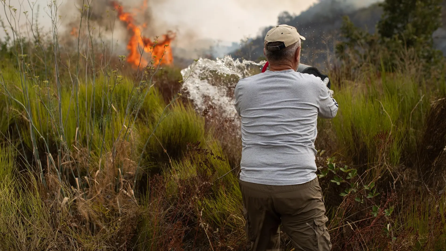 Catorce incendios graves siguen activos en Castilla y León, Galicia y Asturia