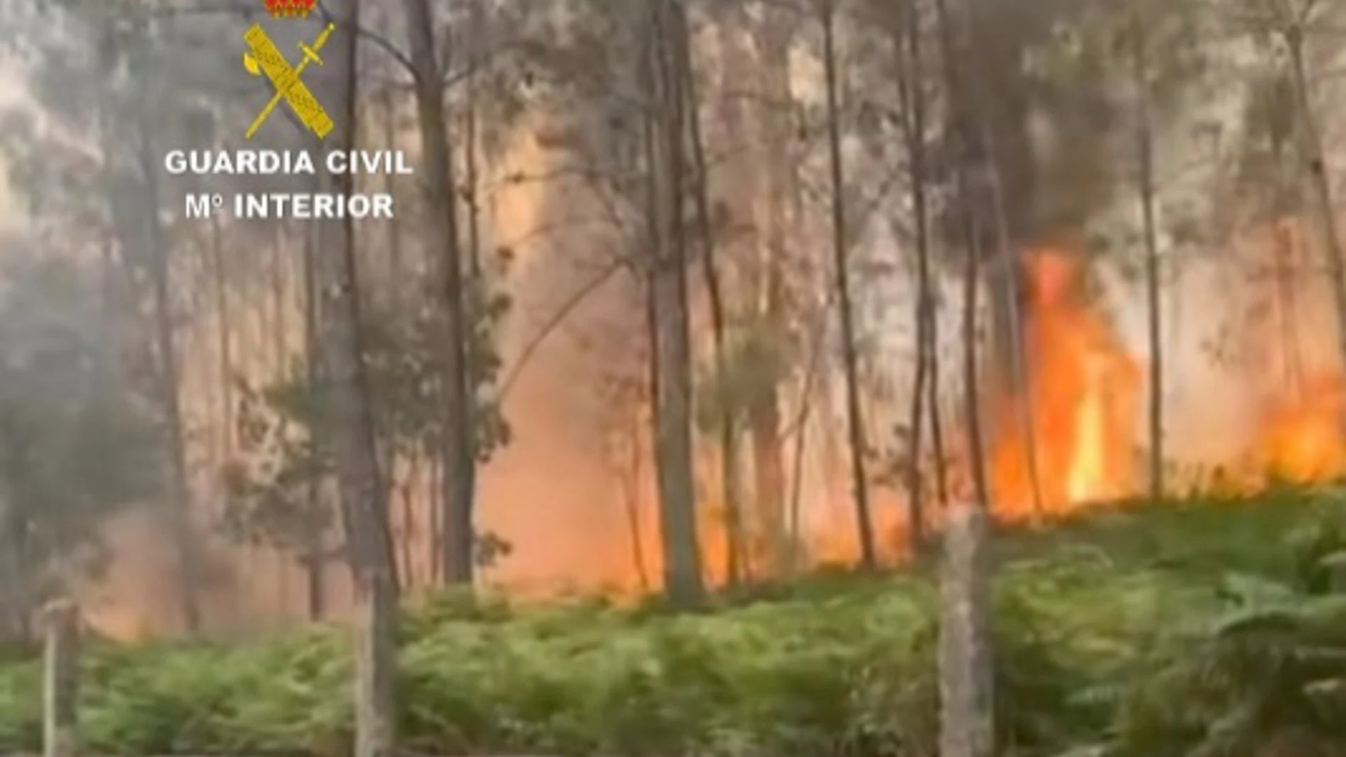 Investigadas dos personas y detenida otra en Pontevedra como presuntas autoras de incendios forestales