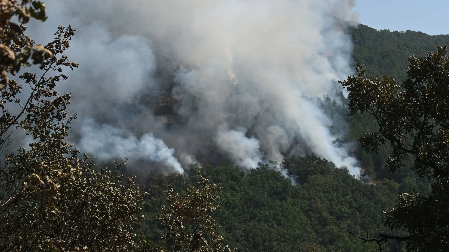 GARAÑO (LEÓN), 25/08/2025.- Incendio en el paraje leonés de Garaño. Castilla y León inicia la tercera semana luchando contra los incendios forestales con seis fuegos que se mantienen en índice de gravedad potencial 2, el nivel máximo, y dos declarados este mismo domingo, tras una evolución positiva que ha permitido bajar de nivel otros seis, mientras la subida de las temperaturas, acompañada de una caída de la humedad y el viento, vuelven a complicar la situación. EFE/J.Casares
