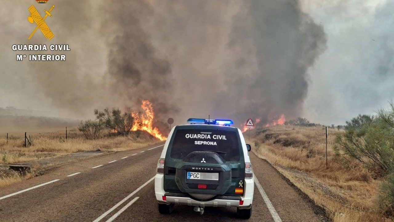 Investigan a un madrileño por el incendio forestal de Burguillos del Cerro (Badajoz)