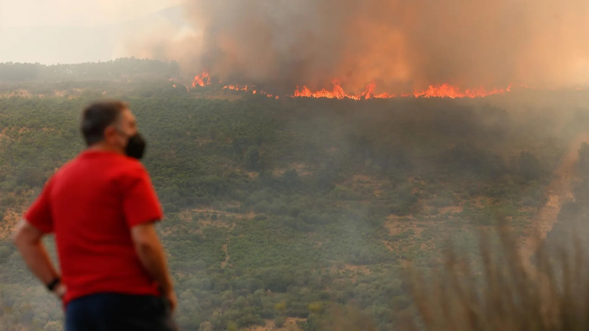 La Junta de CyL aplicará el tope máximo de ayuda establecido para inversiones de pymes afectadas por los incendios